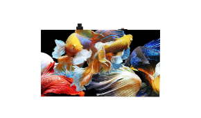 LMPA009BANAMicro LED產品圖片